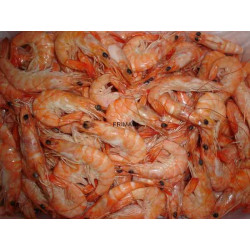 SALSA HEINZ ketchup p/p 250 g